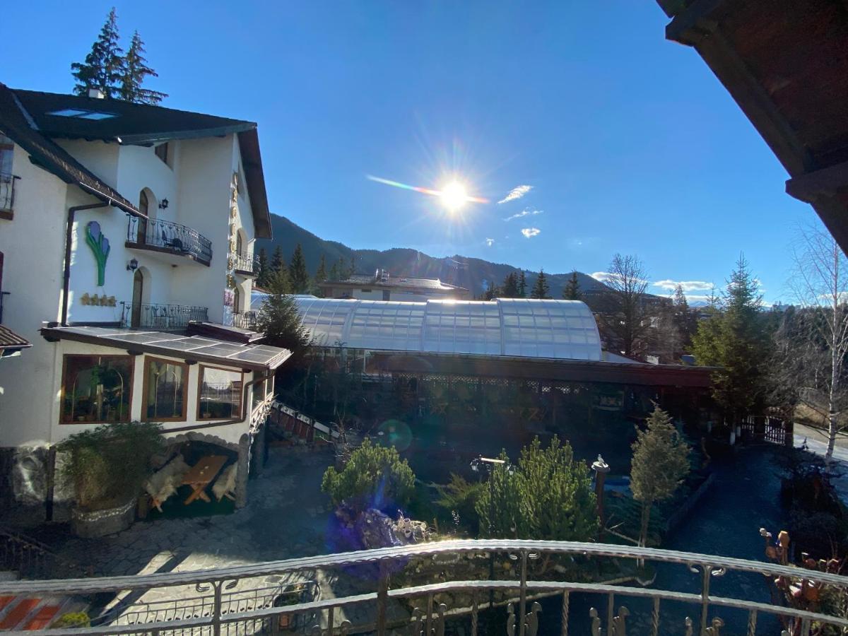 Pensiunea Crocus - Sauna & Billiard Poiana Brasov Bagian luar foto