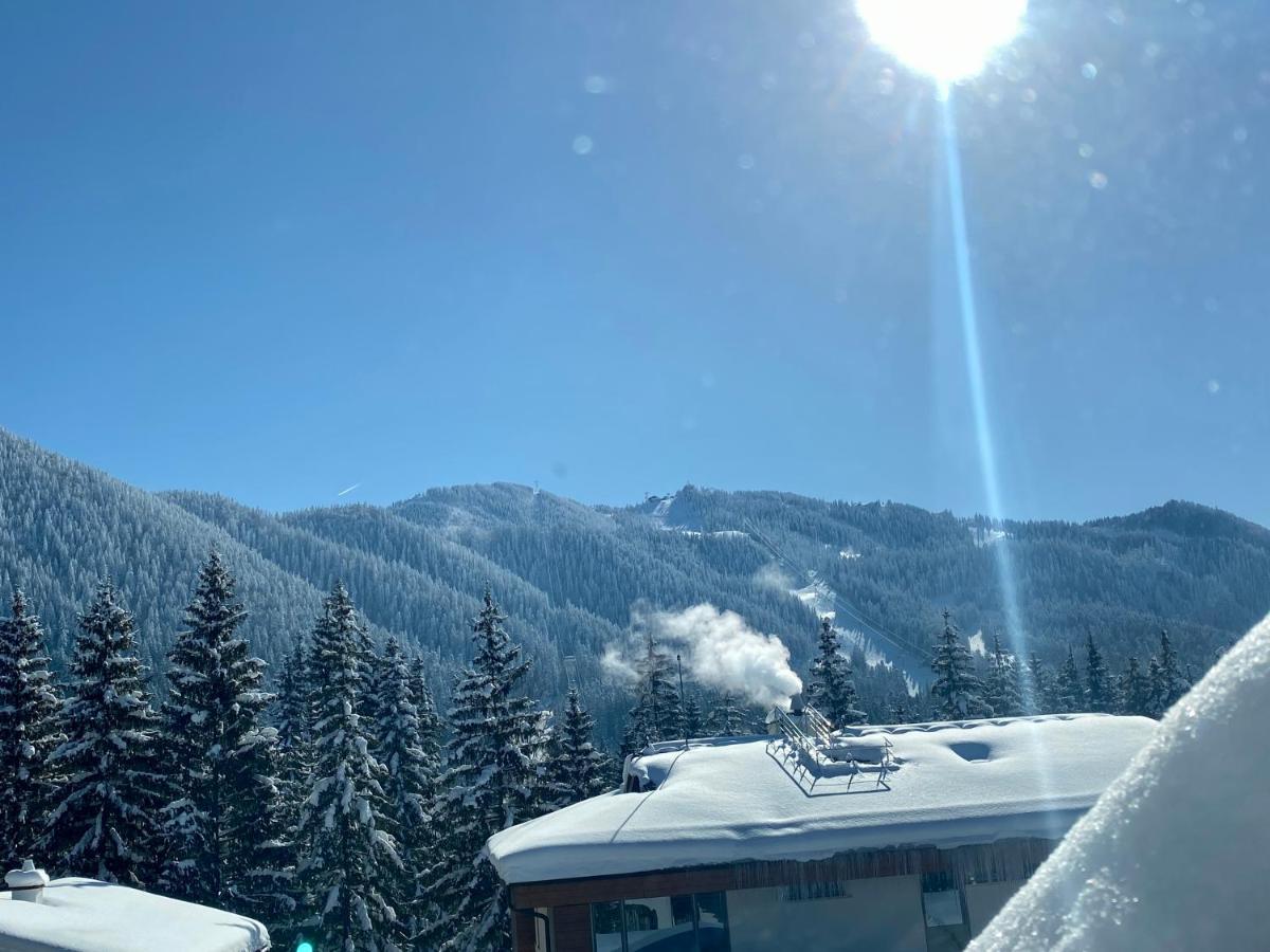 Pensiunea Crocus - Sauna & Billiard Poiana Brasov Bagian luar foto