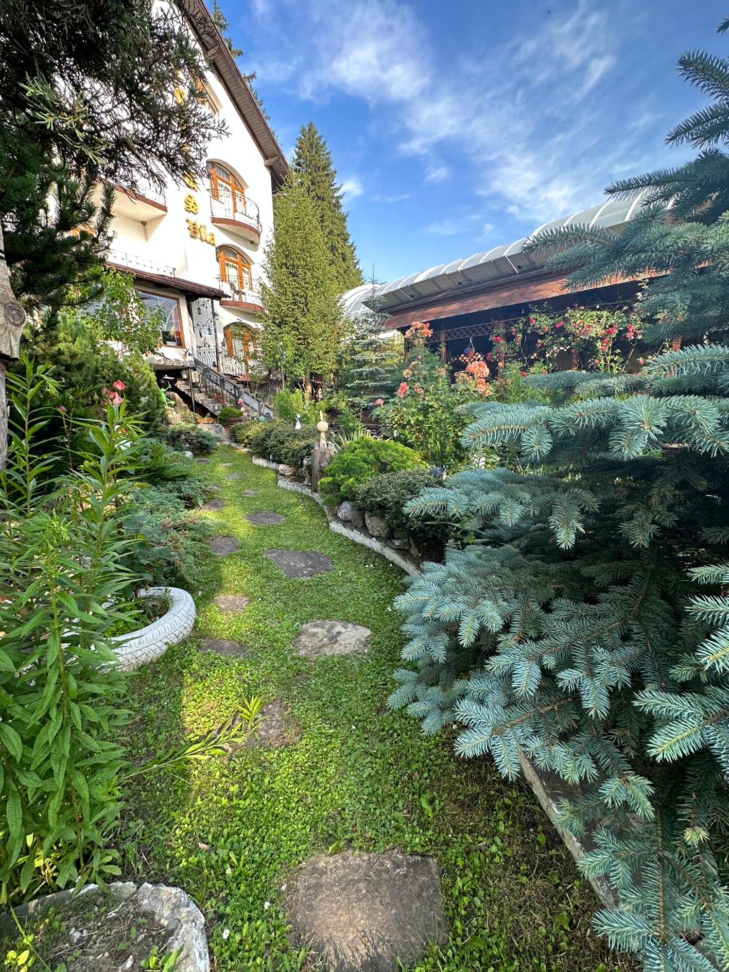 Pensiunea Crocus - Sauna & Billiard Poiana Brasov Bagian luar foto