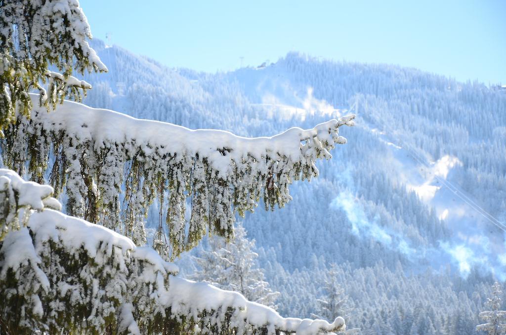 Pensiunea Crocus - Sauna & Billiard Poiana Brasov Bagian luar foto